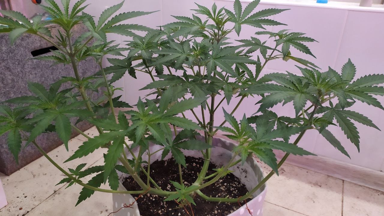 photo_2022-10-04_10-28-19.jpg photo_2022-10-04_10-28-19.jpg