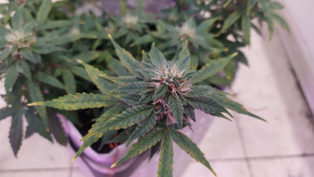 photo_2022-10-05_14-19-58 (3).jpg