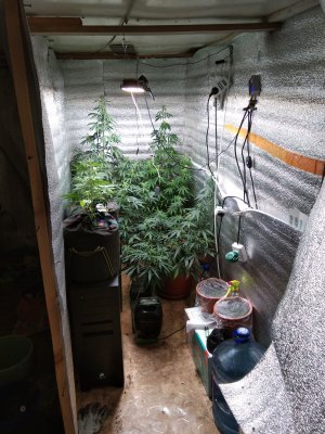 IMG_20221006_175309.jpg IMG_20221006_175309.jpg