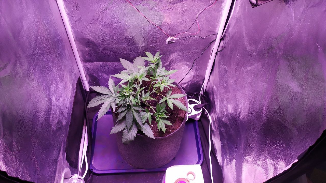 photo_2022-10-09_14-27-11.jpg photo_2022-10-09_14-27-11.jpg