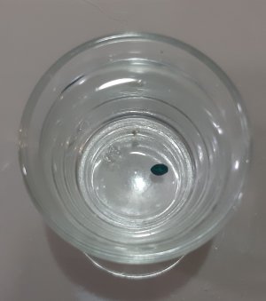 20221009_123344.jpg 20221009_123344.jpg