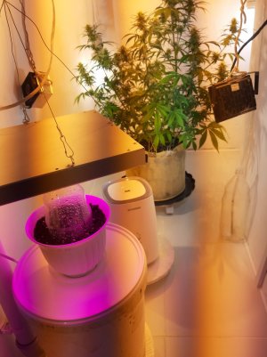 20221009_122939.jpg 20221009_122939.jpg