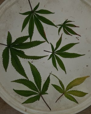 20221010_220530.jpg 20221010_220530.jpg