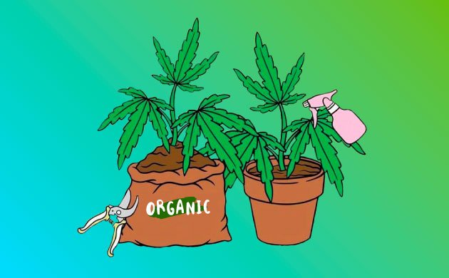 Органическая альтернатива пестицидам Органическая альтернатива пестицидам