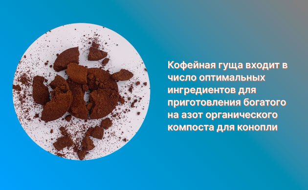 Повышение урожайности конопли: кофейная гуща Повышение урожайности конопли: кофейная гуща