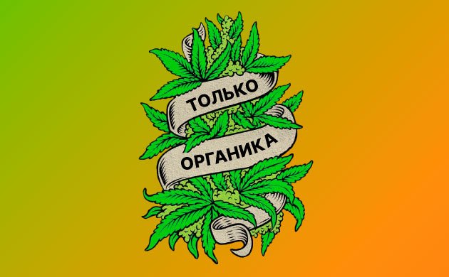 Основы выращивания органической марихуаны Основы выращивания органической марихуаны