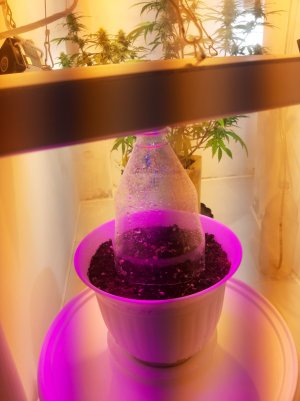 20221011_094713.jpg 20221011_094713.jpg