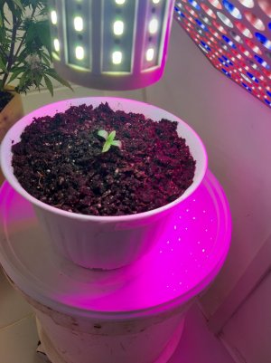 20221011_103319.jpg 20221011_103319.jpg