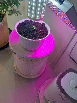 20221011_103306.jpg 20221011_103306.jpg