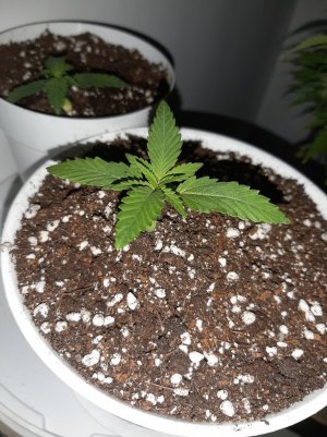 20221011_205550.jpg 20221011_205550.jpg