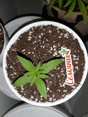 20221011_205536.jpg 20221011_205536.jpg