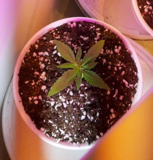 20220514_230736.jpg 20220514_230736.jpg