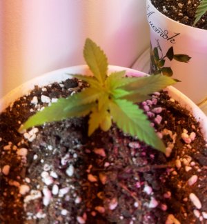 20221012_081848.jpg 20221012_081848.jpg