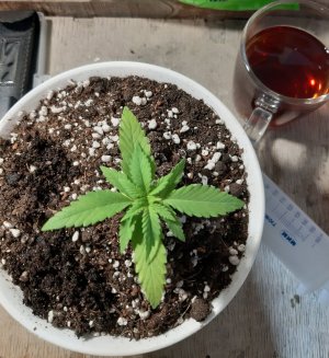 20221012_090442.jpg 20221012_090442.jpg