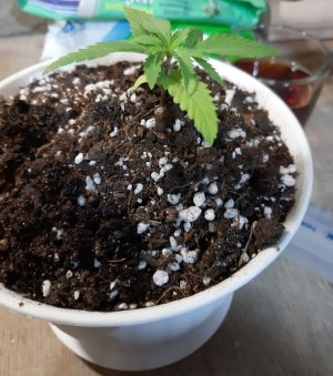 20221012_090355.jpg 20221012_090355.jpg