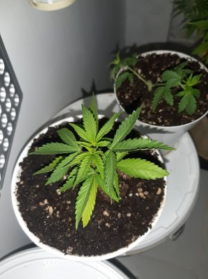 20221012_180940.jpg 20221012_180940.jpg