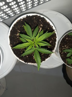 20221012_180957.jpg 20221012_180957.jpg