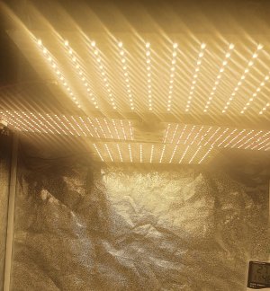 20220917_191215.jpg 20220917_191215.jpg