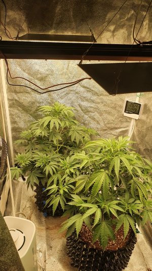 20221010_073608.jpg 20221010_073608.jpg