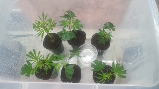 20221013_162710.jpg 20221013_162710.jpg