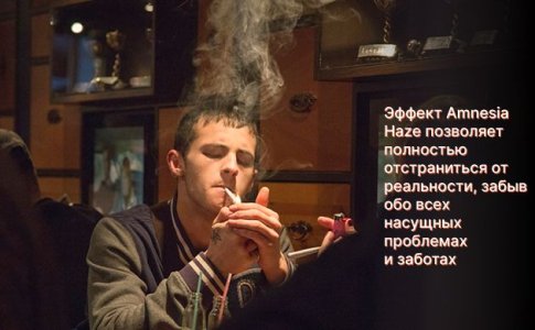 Эффект сорта Amnesia