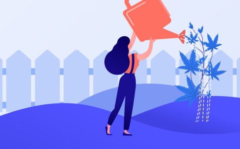 Ошибки начинающих гроверов Ошибки начинающих гроверов