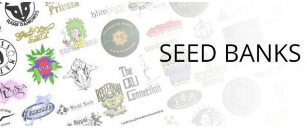 1616851507125.png 1616851507125.png