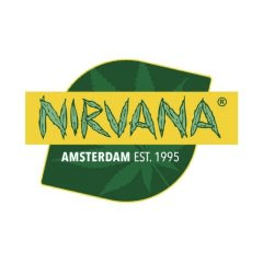 1616852051927.png 1616852051927.png