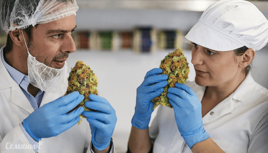 1616853786629.png 1616853786629.png