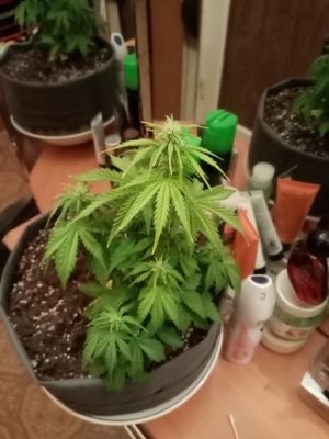 imgonline-com-ua-Resize-iHYHPfQrYnpC8L.jpg imgonline-com-ua-Resize-iHYHPfQrYnpC8L.jpg