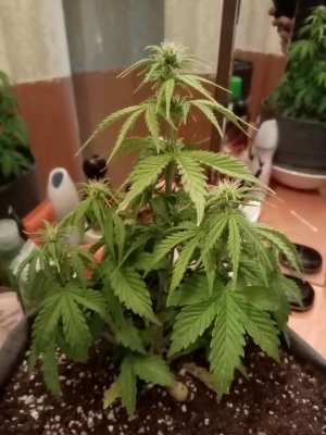 imgonline-com-ua-Resize-pfVaLdifWxoQwpc.jpg imgonline-com-ua-Resize-pfVaLdifWxoQwpc.jpg