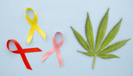 1619095570871.png 1619095570871.png