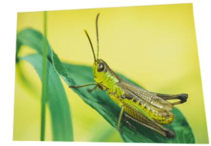 1621096514214.png 1621096514214.png