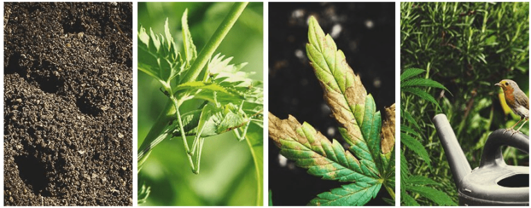 1621096555637.png 1621096555637.png