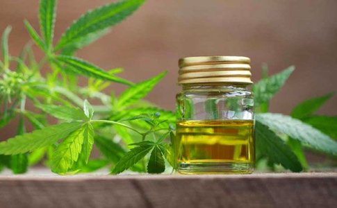 Настойка из марихуаны Настойка из марихуаны