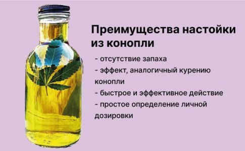 Преимущества применения настойки марихуаны Преимущества применения настойки марихуаны