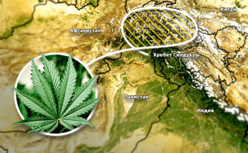 1624442184444.png 1624442184444.png