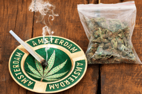 1624902721812.png 1624902721812.png