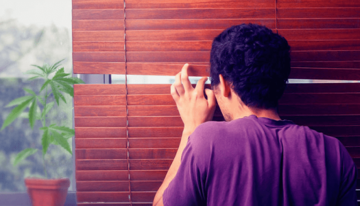 1624970877961.png 1624970877961.png