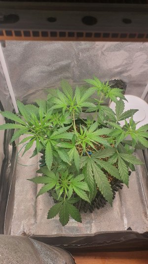 20221016_013840.jpg 20221016_013840.jpg