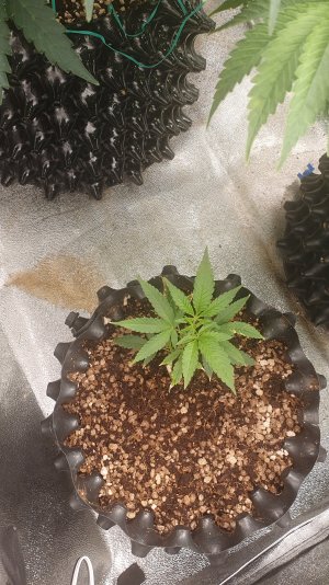 20221016_013214.jpg 20221016_013214.jpg