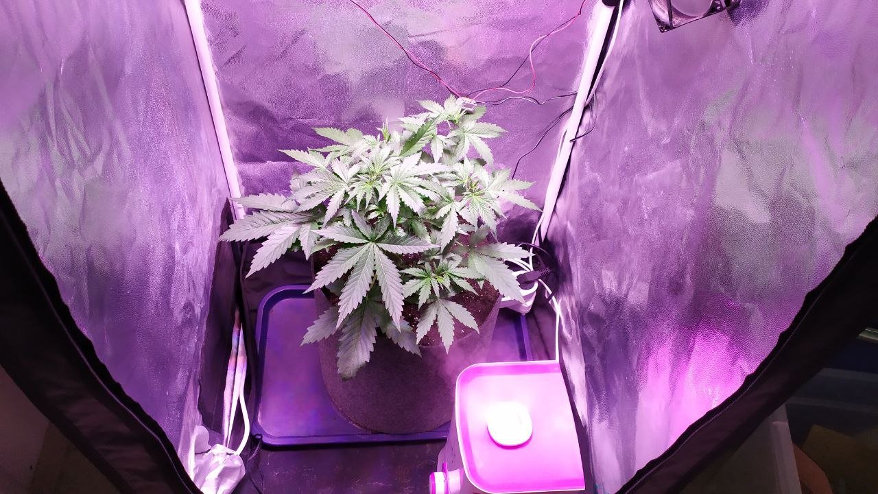 photo_2022-10-16_12-21-32 (3).jpg photo_2022-10-16_12-21-32 (3).jpg