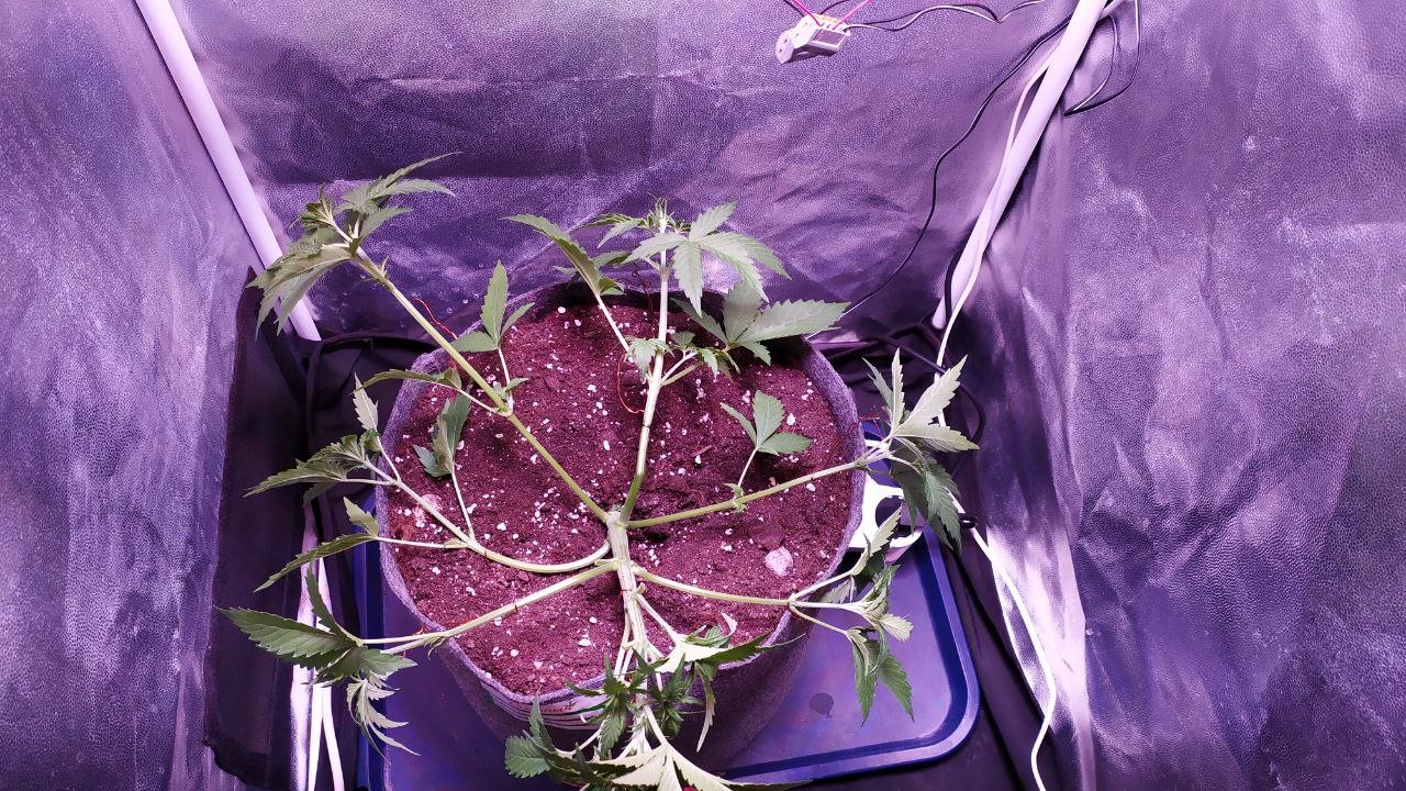 photo_2022-10-16_12-21-32.jpg photo_2022-10-16_12-21-32.jpg