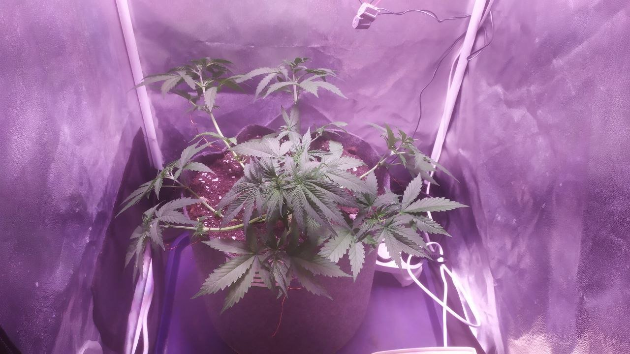 photo_2022-10-16_12-21-31 (2).jpg photo_2022-10-16_12-21-31 (2).jpg