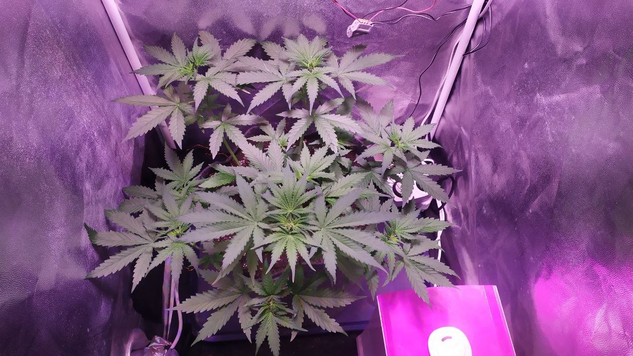 photo_2022-10-15_17-22-11.jpg photo_2022-10-15_17-22-11.jpg