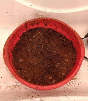 imgonline-com-ua-dexifRRPNG2NKU1aI.jpg imgonline-com-ua-dexifRRPNG2NKU1aI.jpg