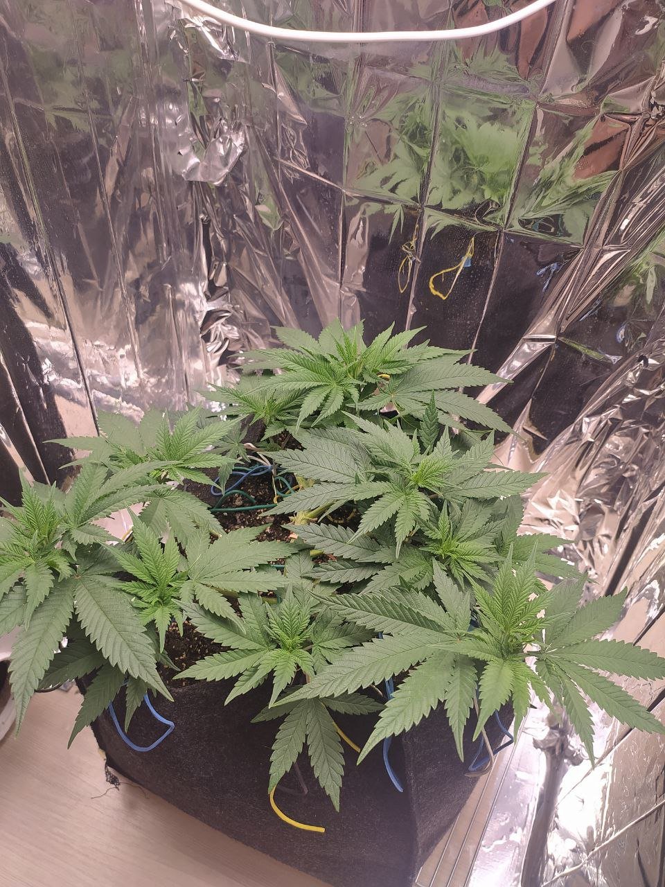 1 — копия.jpg 1 — копия.jpg