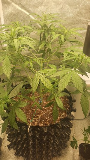 20221019_022437.jpg 20221019_022437.jpg