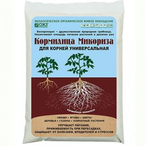 43321928-8945-4E5B-8413-1AD9E3211049.jpeg 43321928-8945-4E5B-8413-1AD9E3211049.jpeg