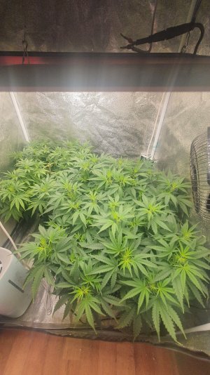 20221022_222137.jpg 20221022_222137.jpg